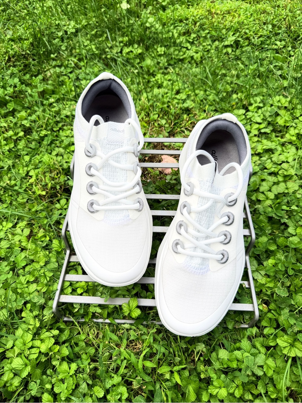 allbirds White Kids Lace-Up Sneakers with Gray Lining